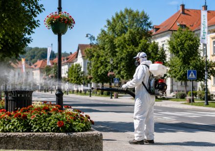 Dezinsekcija na području Lepoglave